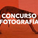 Concurso fotografia