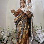DMV Virgen del Rosario